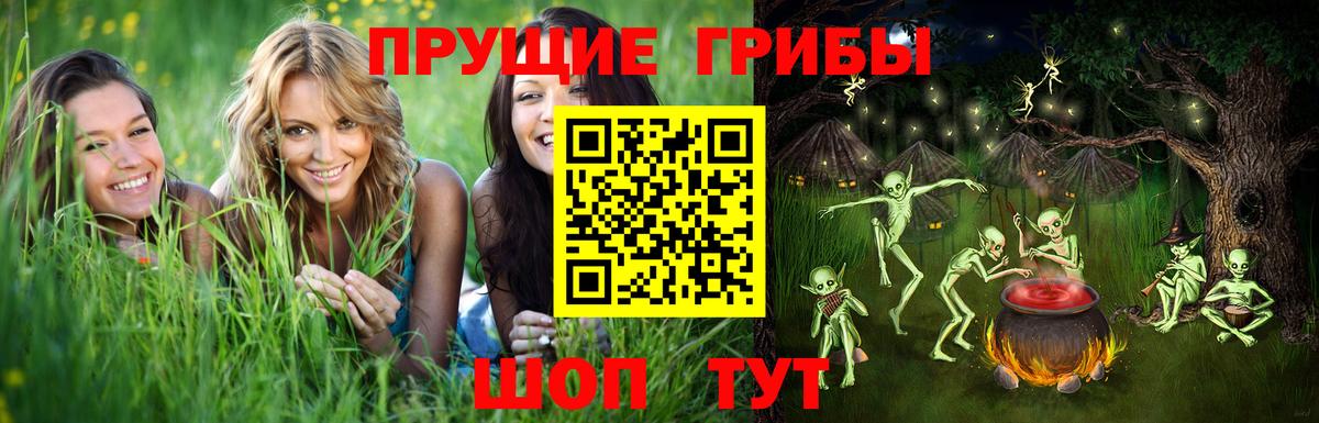 Псилоцибиновые грибы GOLDEN TEACHER  Псилоцибиновые грибы мицелий  Печора  Вход с VPN 