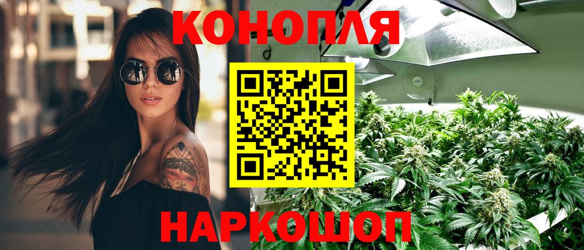 Бошки Шишки сатива  Марихуана VHQ  Канабис гибрид  Печора  Вход с VPN 